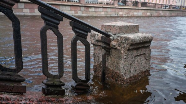 В Петербурге в Ботаническом саду упал посаженный до 1934 года серебристый клен В Петербурге в Ботаническом саду упал посаженный до 1934 года серебристый клен