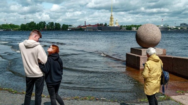 В Петербурге в Ботаническом саду упал посаженный до 1934 года серебристый клен В Петербурге в Ботаническом саду упал посаженный до 1934 года серебристый клен