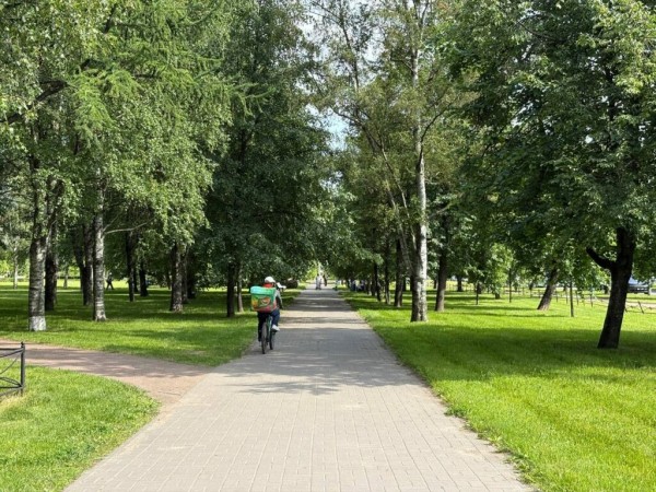 Петербуржцам рассказали, какие общественные пространства появятся в Выборгском и Калининском районах