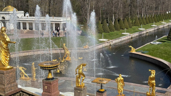 Разбушевавшийся ветер закрыл парки в Петергофе Разбушевавшийся ветер закрыл парки в Петергофе
