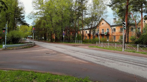 В Ленобласти волонтеры пытаются пристроить 40 кошек из приюта "Тимошка"