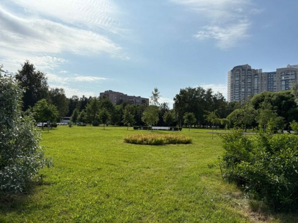 Петербуржцам рассказали, какие общественные пространства появятся в Выборгском и Калининском районах