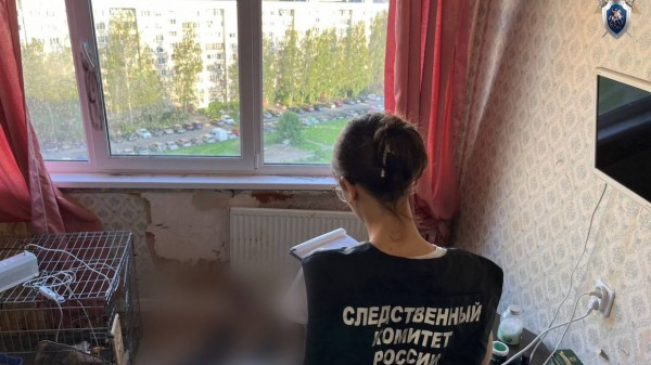 Конфликт под градусом: петербурженку обвинили в убийстве матери-пенсионерки в доме на улице Доблести Конфликт под градусом: петербурженку обвинили в убийстве матери-пенсионерки в доме на улице Доблести