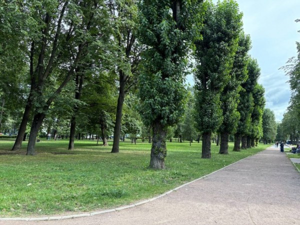 «Горожанам нужны общественные пространства, которые они смогут использовать и летом, и зимой»: спикер Бельский рассказал о зеленых зонах «Горожанам нужны общественные пространства, которые они смогут использовать и летом, и зимой»: спикер Бельский рассказал о зеленых зонах