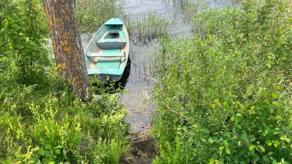 Россиянка оставила своего мужа на рыбалке, а на утро увидела его труп в воде: что произошло на берегу? Россиянка оставила своего мужа на рыбалке, а на утро увидела его труп в воде: что произошло на берегу?
