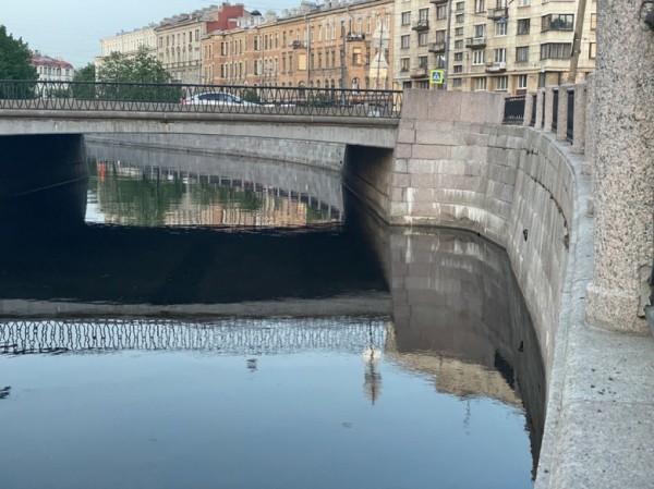 Новые экскурсионные суда появились на реке Карповке в Петербурге Новые экскурсионные суда появились на реке Карповке в Петербурге