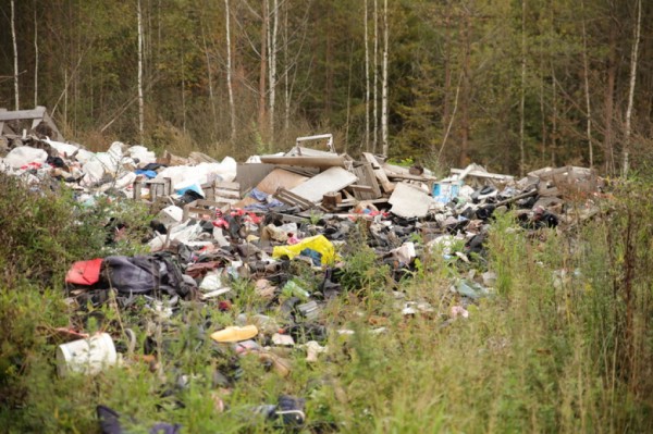В Ленинградской области на мусорном полигоне найдено тело младенца