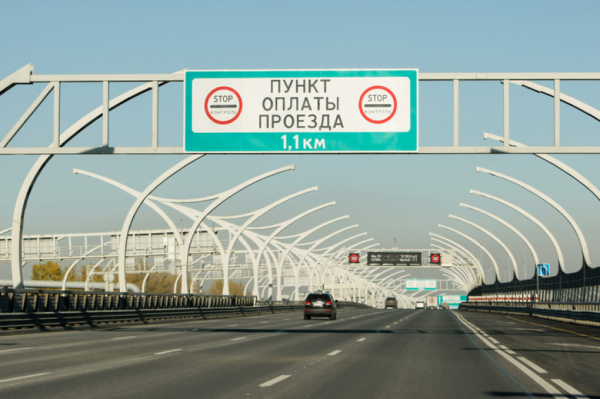 В Кронштадте у дамбы найдено тело мужчины в камышах В Кронштадте у дамбы найдено тело мужчины в камышах