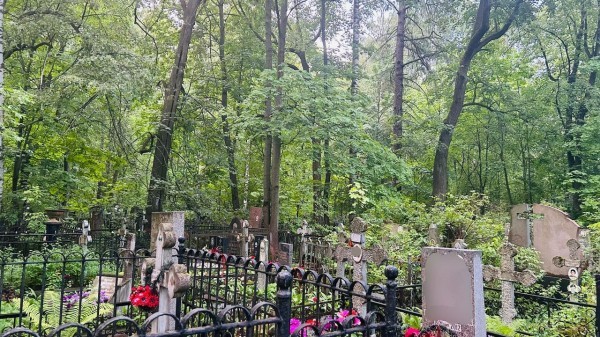 Кладбищенских разбойников задержали в Петербурге после нападения на моряка: куда делись евро и доллары? Кладбищенских разбойников задержали в Петербурге после нападения на моряка: куда делись евро и доллары?