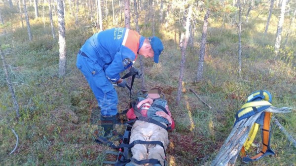 В Ленобласти спасатели и добровольцы вывели заблудившуюся в болотах пенсионерку В Ленобласти спасатели и добровольцы вывели заблудившуюся в болотах пенсионерку