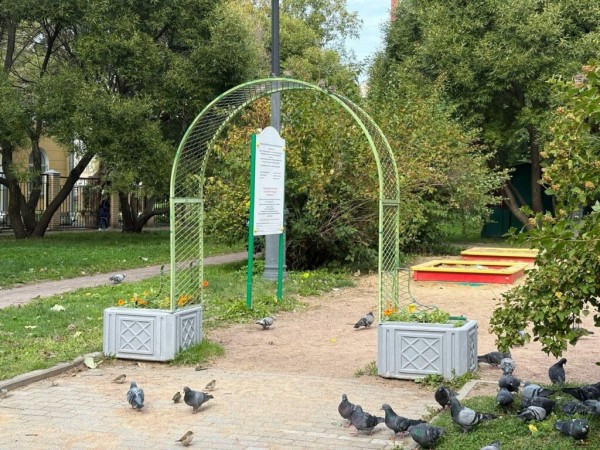 Эксперт Солонников объяснил, почему Петербургу необходимы общественные пространства с изюминкой Эксперт Солонников объяснил, почему Петербургу необходимы общественные пространства с изюминкой