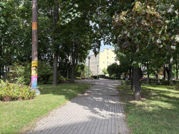 «Больше 50 общественных пространств благоустроят в Петербурге до конца 2025 года»: председатель Комблага Петриченко «Больше 50 общественных пространств благоустроят в Петербурге до конца 2025 года»: председатель Комблага Петриченко