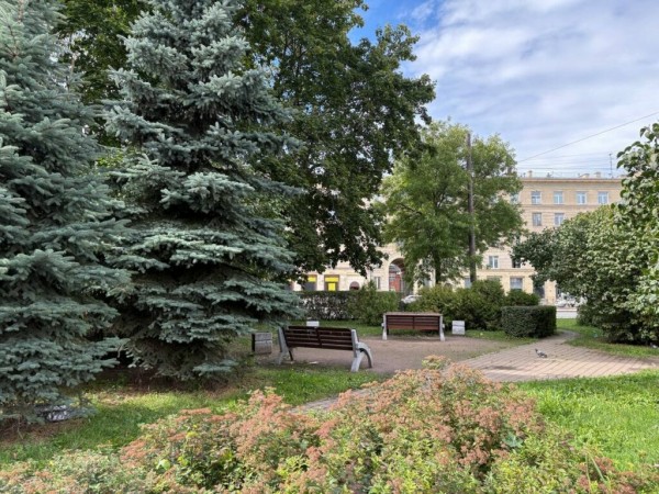 «Больше 50 общественных пространств благоустроят в Петербурге до конца 2025 года»: председатель Комблага Петриченко «Больше 50 общественных пространств благоустроят в Петербурге до конца 2025 года»: председатель Комблага Петриченко