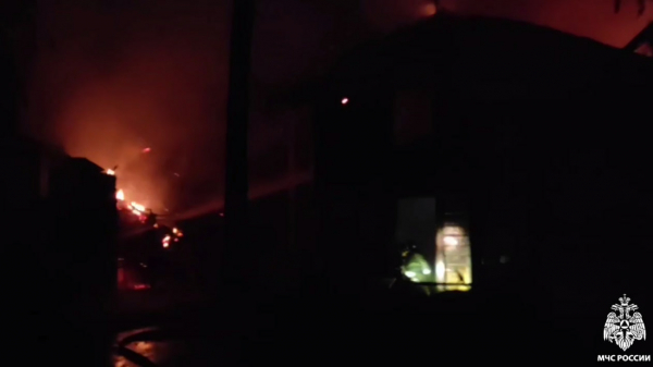 Пожар в новосибирском зоопарке: погибли альпаки и ламы Пожар в новосибирском зоопарке: погибли альпаки и ламы