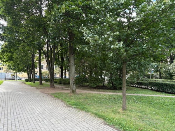 «Больше 50 общественных пространств благоустроят в Петербурге до конца 2025 года»: председатель Комблага Петриченко «Больше 50 общественных пространств благоустроят в Петербурге до конца 2025 года»: председатель Комблага Петриченко