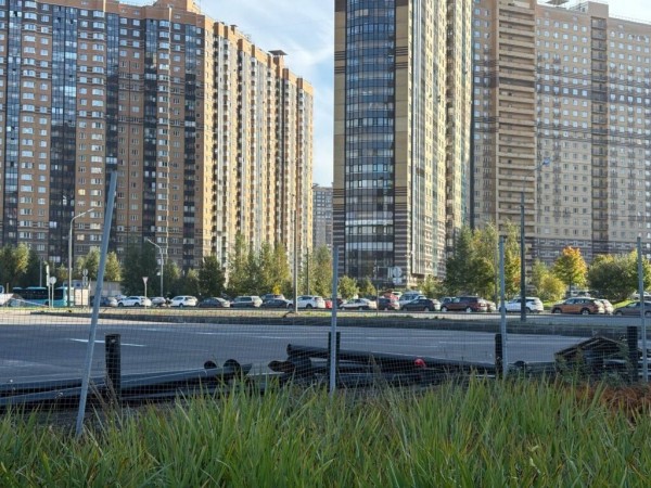 Жители Заречной улицы проиграли сражение за зеленую зону возле детской площадки