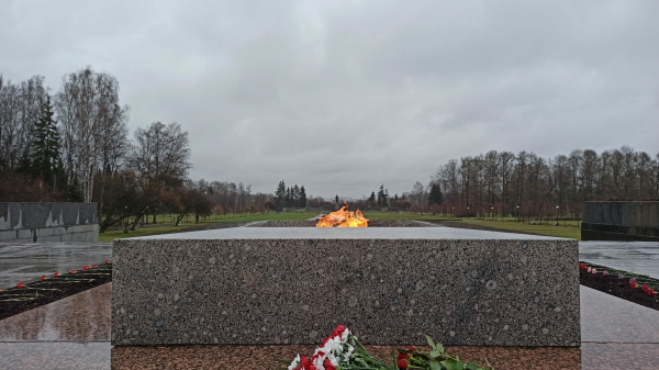 Останки 76 бойцов и командиров Красной армии перезахоронят в Петербурге Останки 76 бойцов и командиров Красной армии перезахоронят в Петербурге