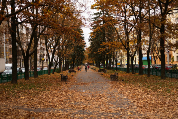 Топ-события Петербурга на этой неделе: Вячеслав Бутусов, Сергей Бобунец и Мари Краймбрери