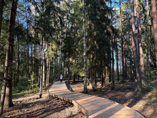 Петродворцовый район получил благоустроенное общественное пространство с экотропой Петродворцовый район получил благоустроенное общественное пространство с экотропой