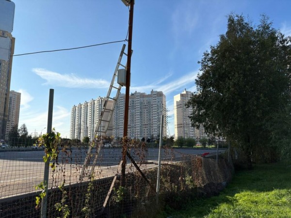 Жители Заречной улицы проиграли сражение за зеленую зону возле детской площадки