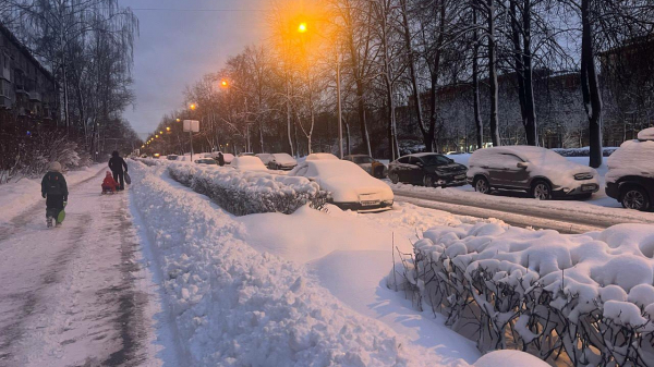 Петербуржцам предстоит пережить еще одну морозную ночь Петербуржцам предстоит пережить еще одну морозную ночь
