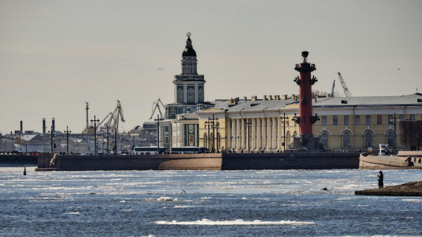 Сорокин: семья убитого в Петербурге мальчика переехала во временное жилье Сорокин: семья убитого в Петербурге мальчика переехала во временное жилье