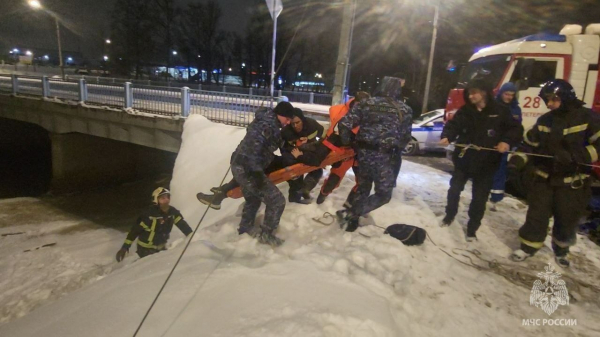 Молодого петербуржца спасли после удара об лед в результате падения с моста Молодого петербуржца спасли после удара об лед в результате падения с моста