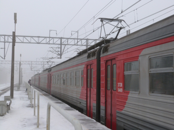 Петербуржца освободили от уголовной ответственности за сброшенную с обрыва кошку в Крыму Петербуржца освободили от уголовной ответственности за сброшенную с обрыва кошку в Крыму