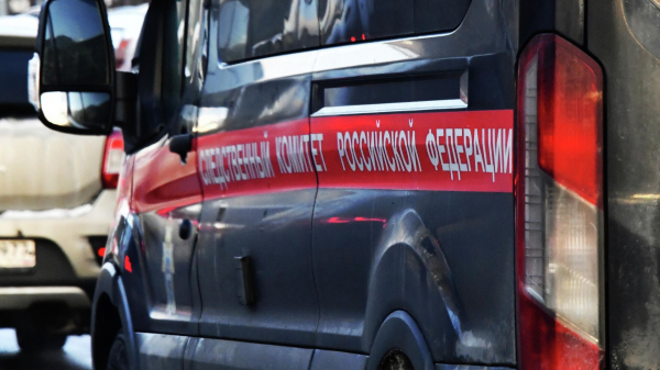 В Петербурге возбудили дело после того, как водитель "Камаза" задавил ребенка В Петербурге возбудили дело после того, как водитель "Камаза" задавил ребенка
