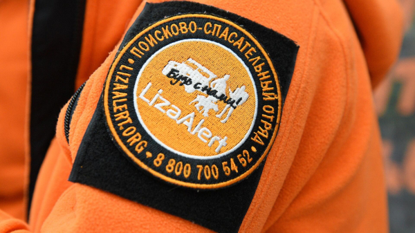 В Петербурге ищут пропавшую месяц назад восьмилетнюю девочку
